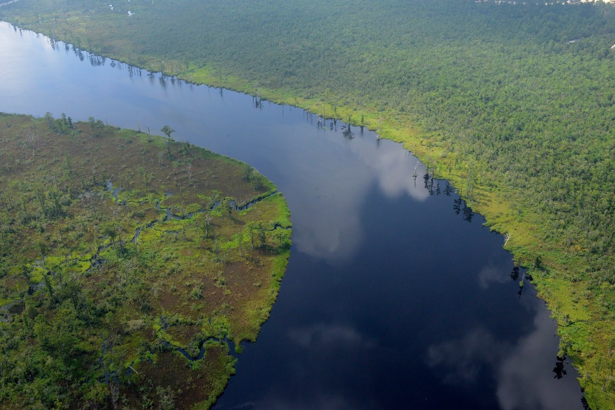 Aerial view of part of the Cape Fear River. Photo: Cape Fear River Watch