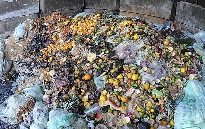 Food waste is shown in the holding area at the New Hanover County Department of Environmental Management near Wilmington. A  machine diverts food waste from the landfill and converts it to compost at the county site. Photo: Mark Courtney