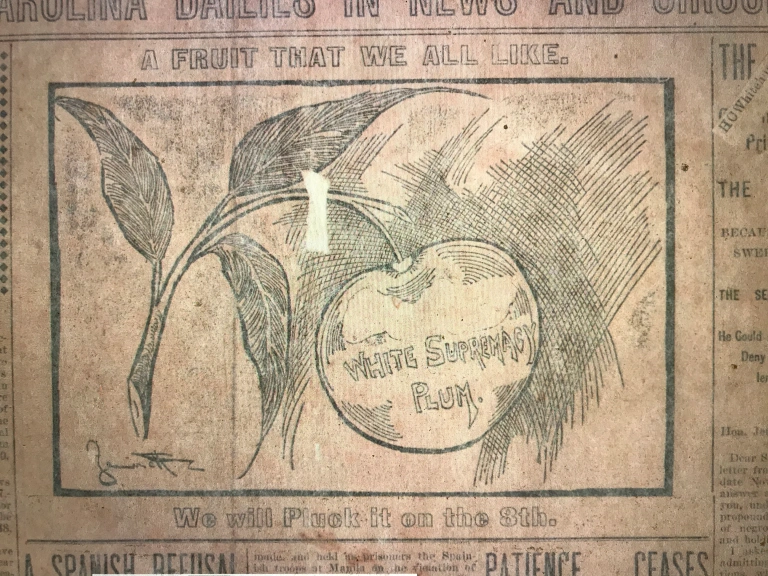 Raleigh News & Observer, 5 Nov. 1898.

