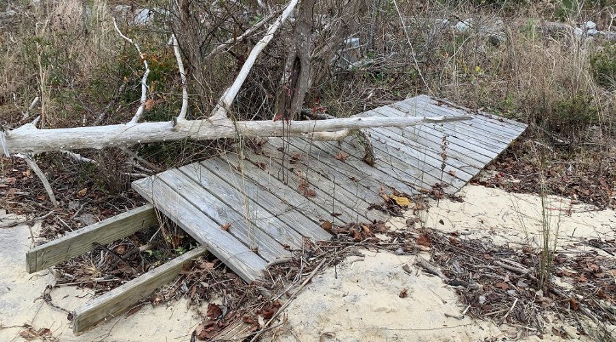 A damaged walkway in Croatan National Forest after Hurricane Florence. Photo: U.S. Forest Service