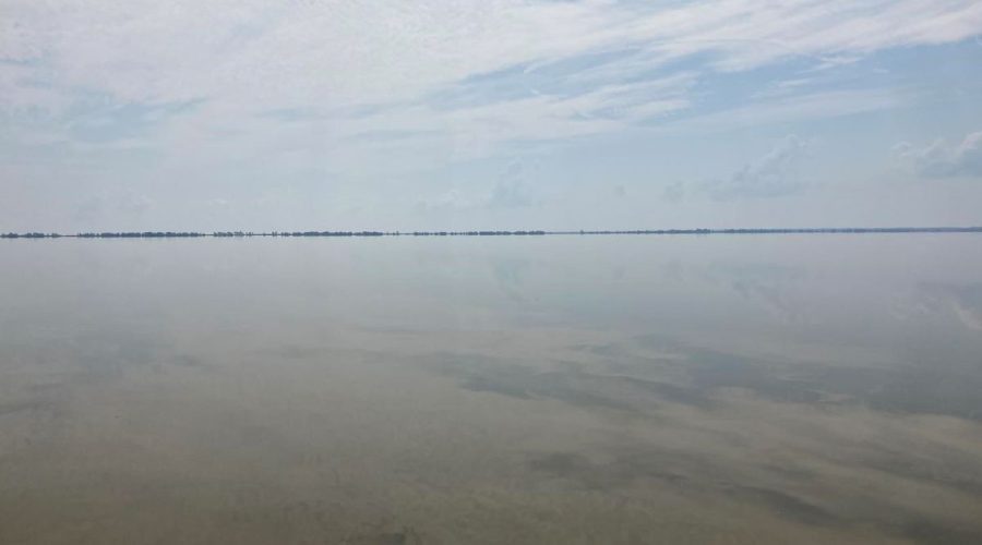 A view of Lake Mattamuskeet. Photo: Sarah Toner/USFWS