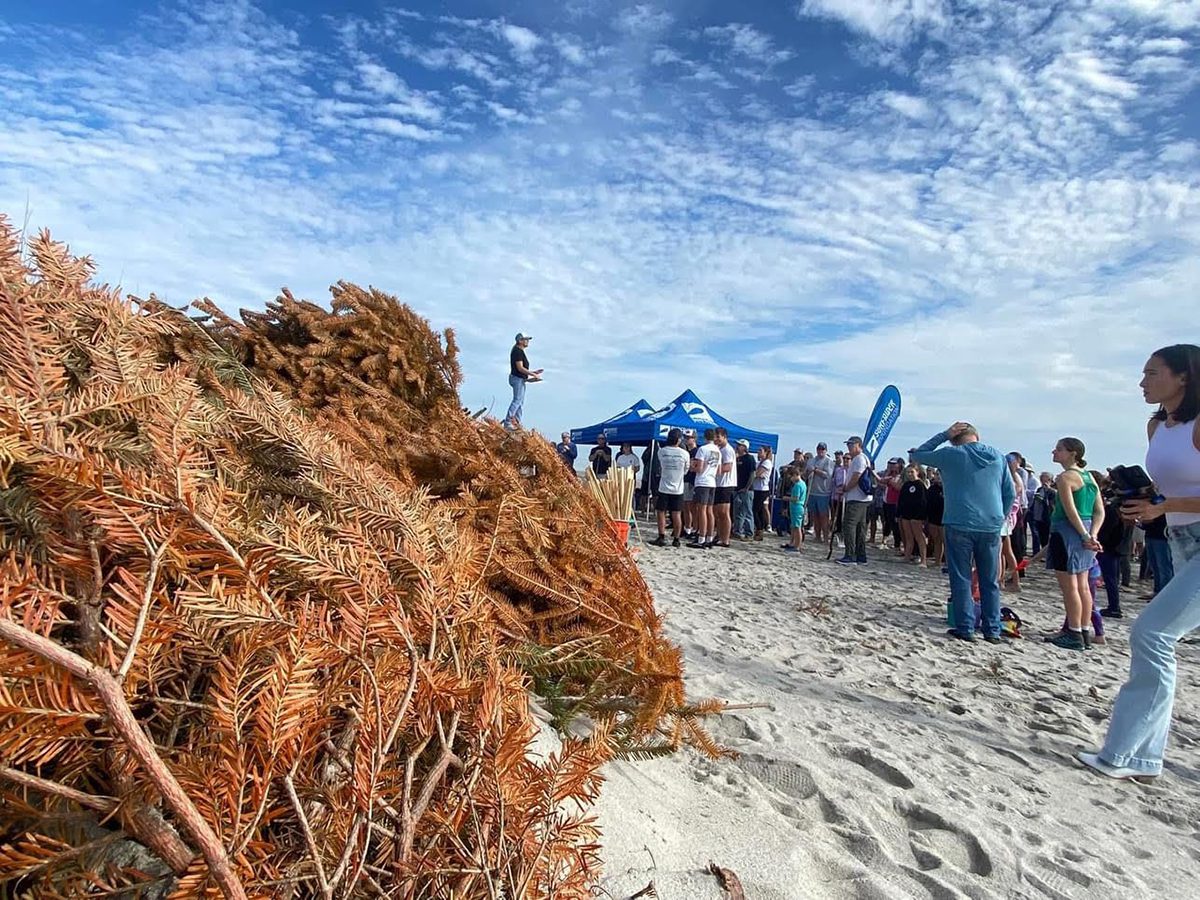Volunteers participate in the Cape Fear chapter's 2024 tree event. Photo: Surfrider Foundation Cape Fear Chapter